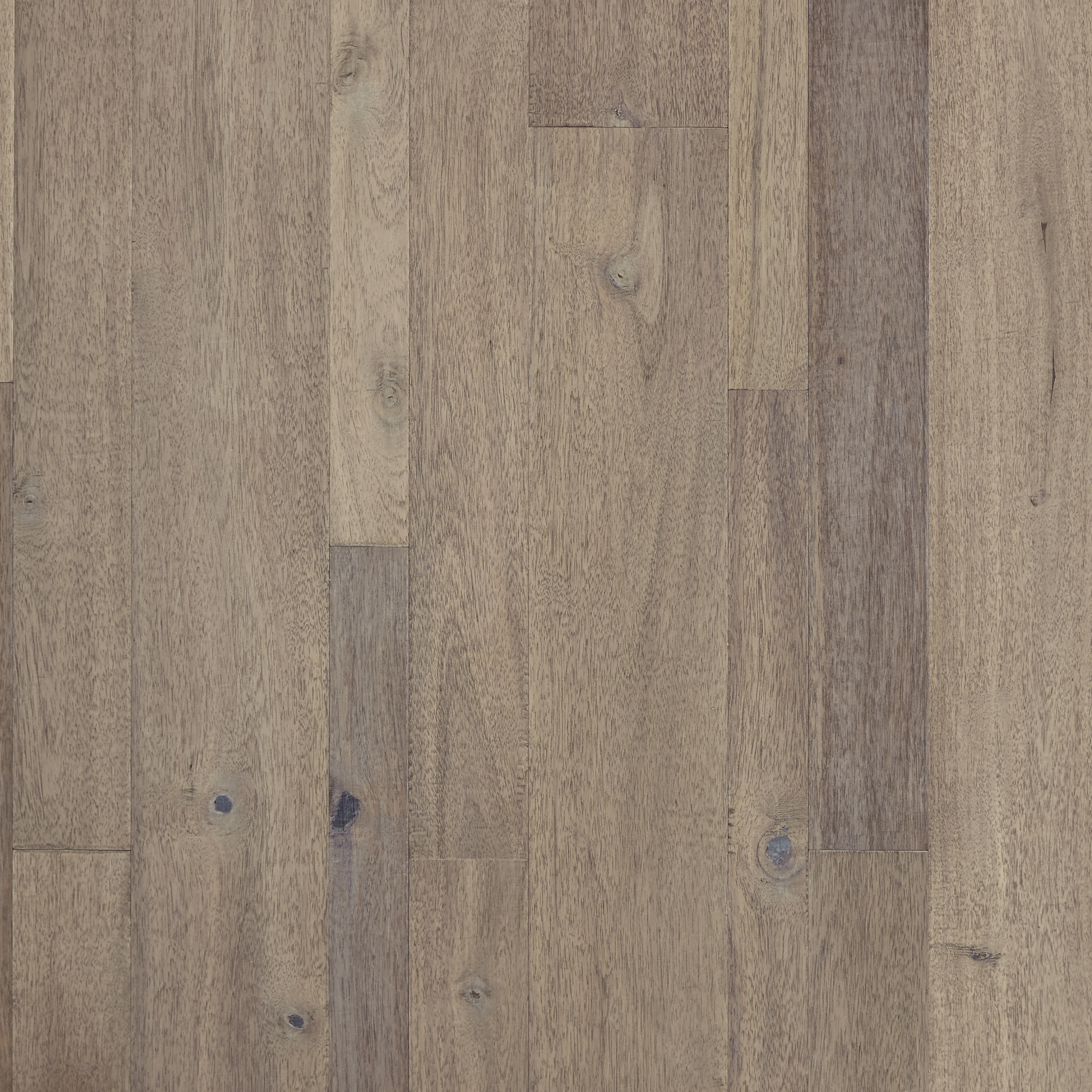 floor-img