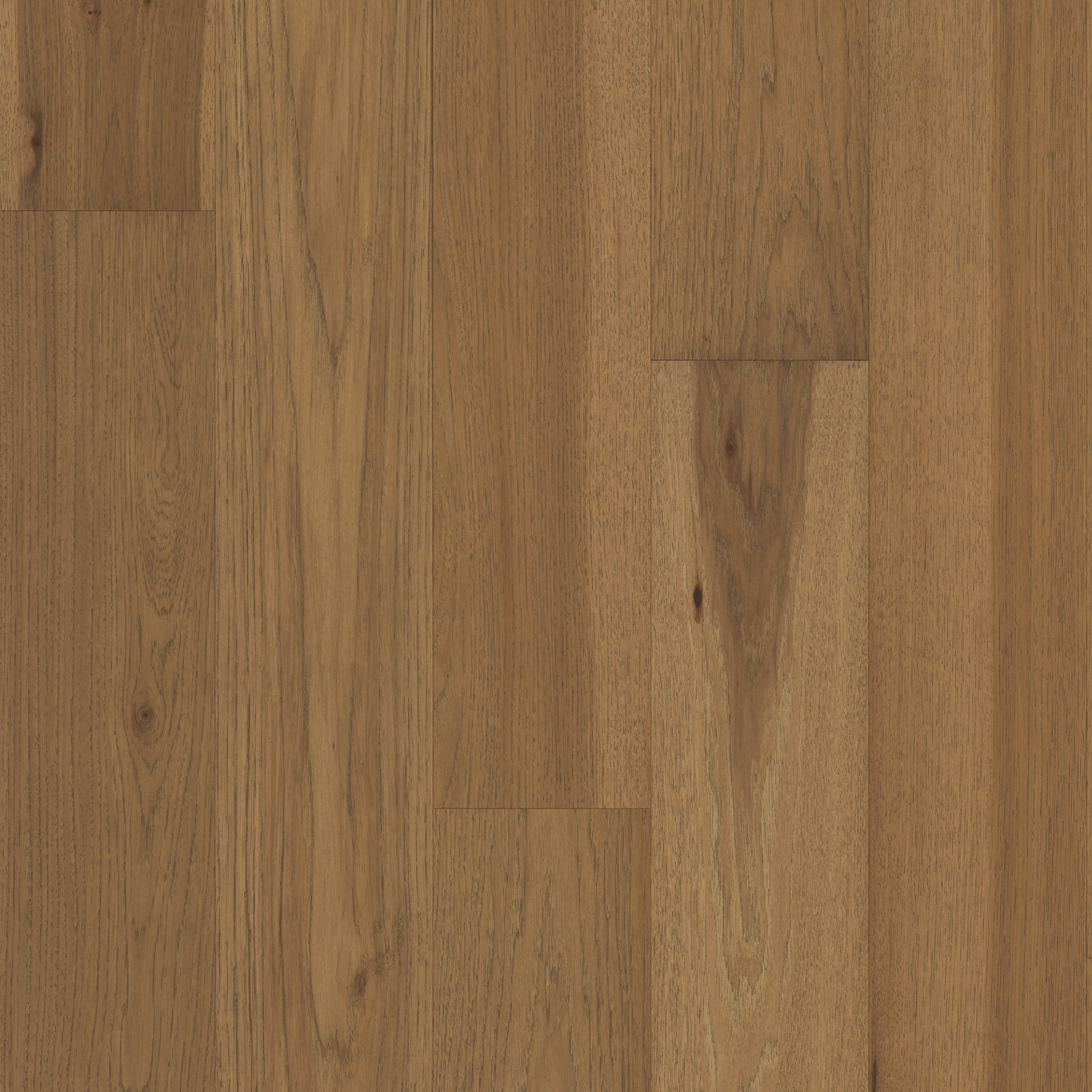 floor-img