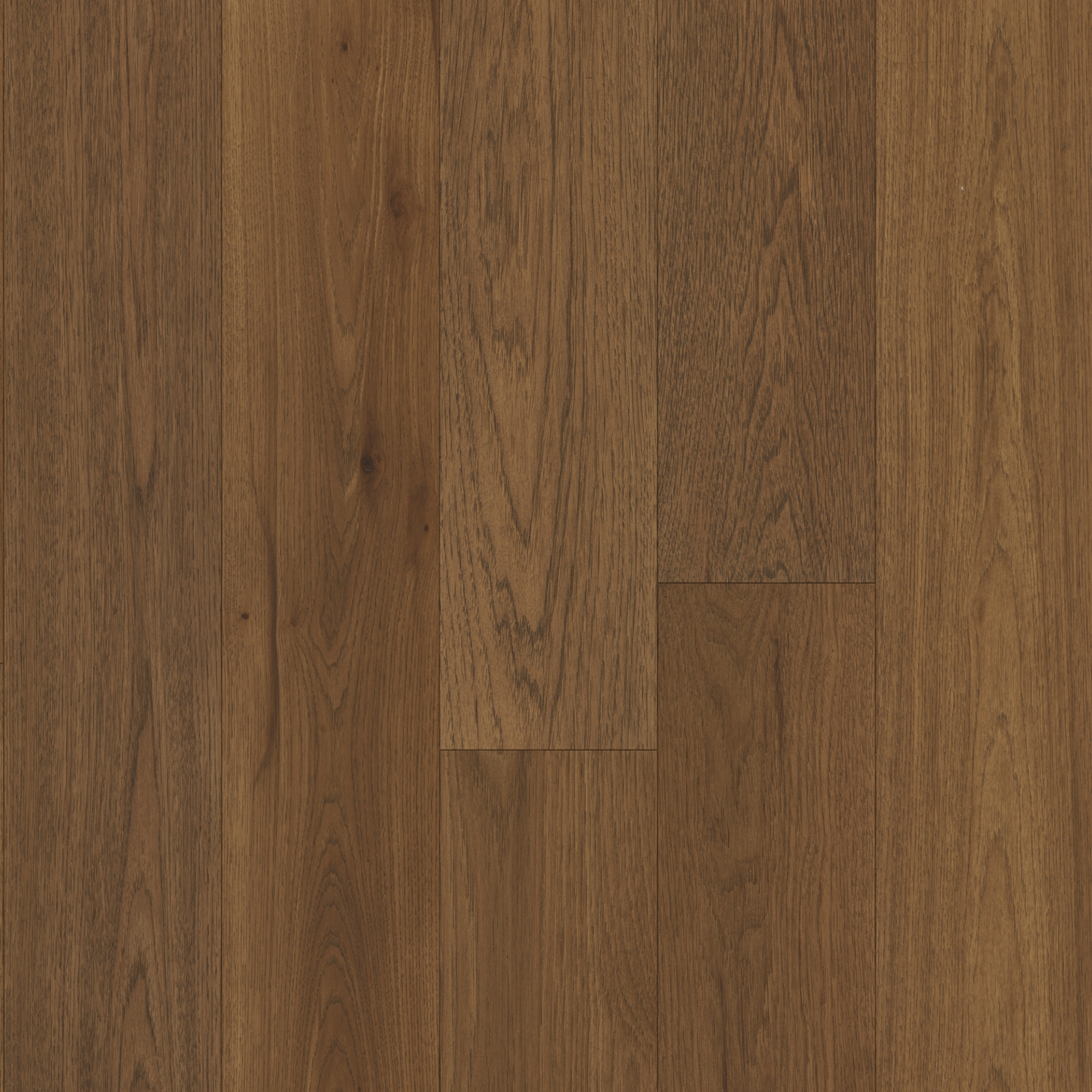 floor-img