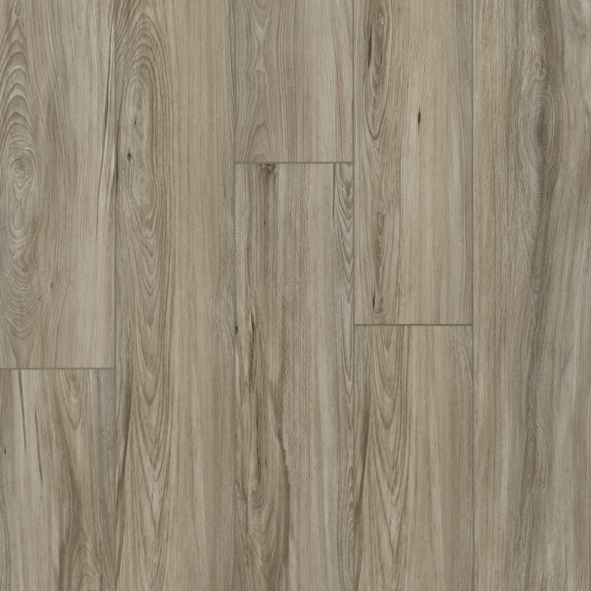 rsp106-app106-swatch-oasis-