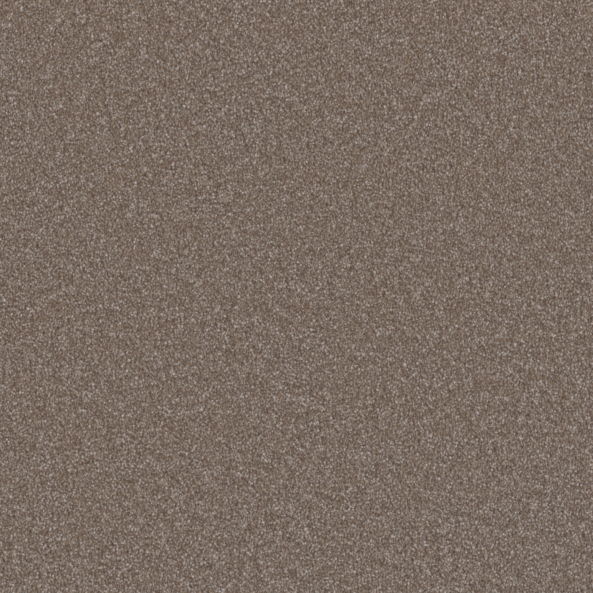 31070_e8058_oasis-