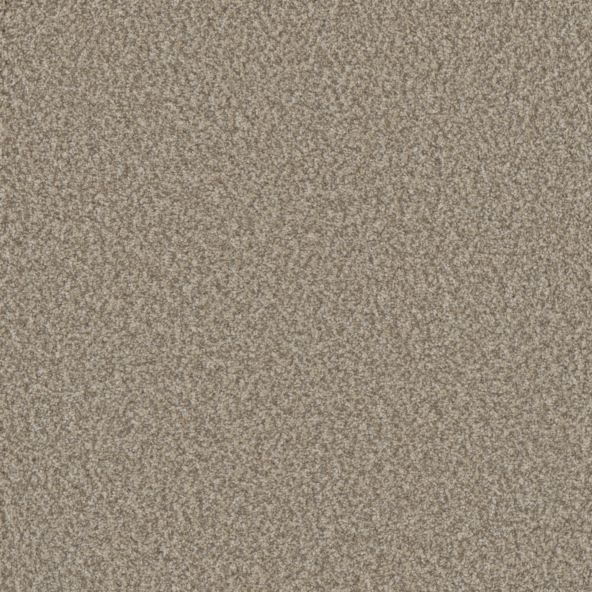 FloorEver™ PetPlus Vista Silver Countryside FP036-3505 | Phenix