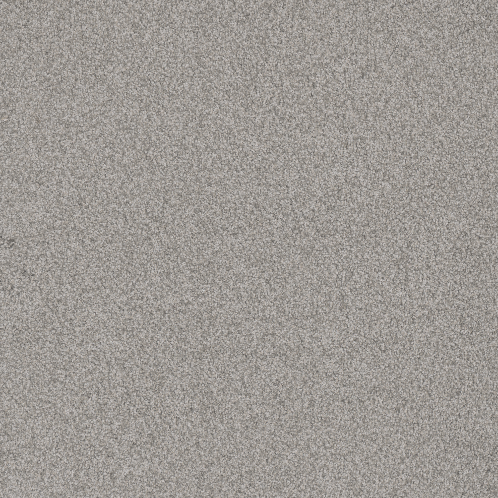 Prior スピアヘッド　fissp 166 #18734 スプリットボード Spearhead – Prior Sports ULC